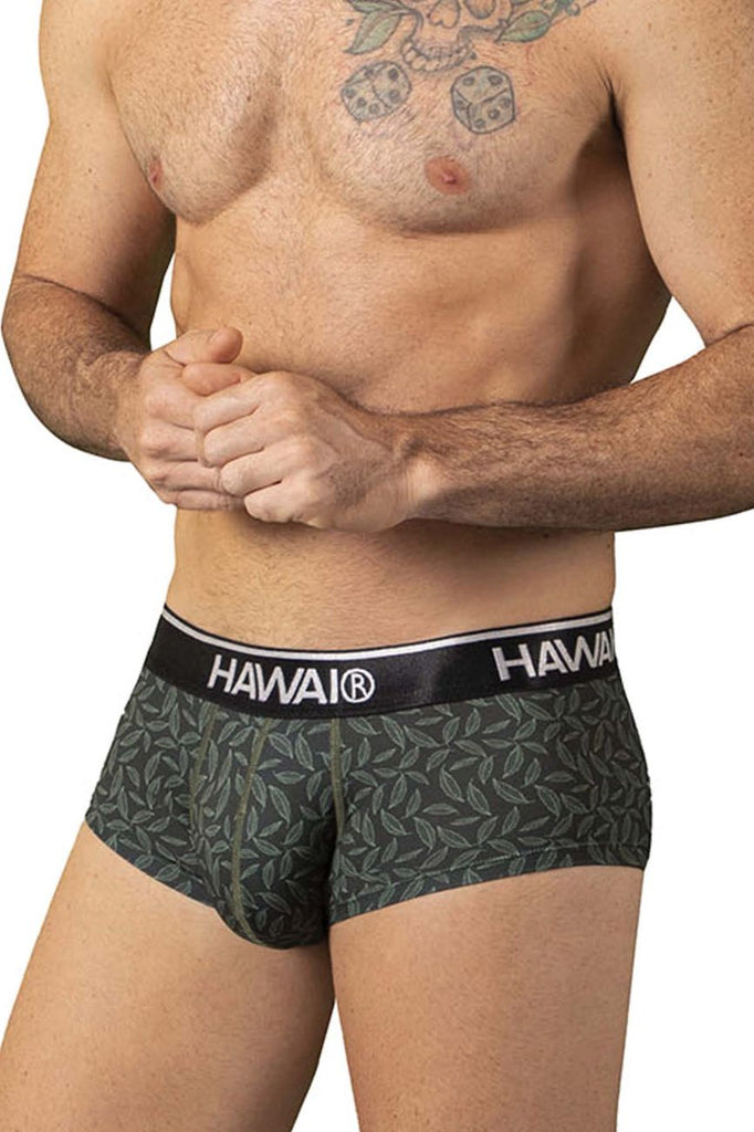 HAWAI 42380 Printed Briefs Color Green