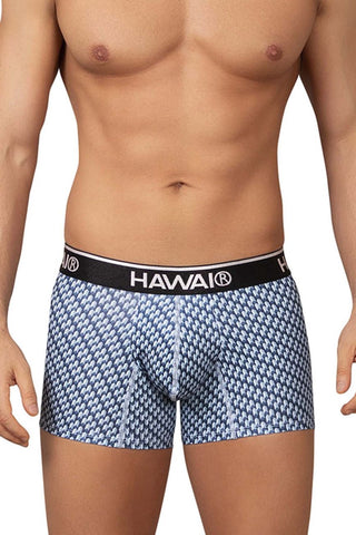 HAWAI 42430 Printed Briefs Color Blue